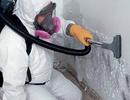 Best Forensic Mold Investigation  in Wappingers Falls, NY